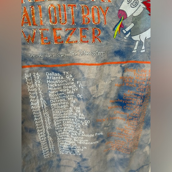 Weezer Green Day Fallout Boy Hella Mega Acid Washed Tour T-Shirt Size Medium - Picture 9 of 15